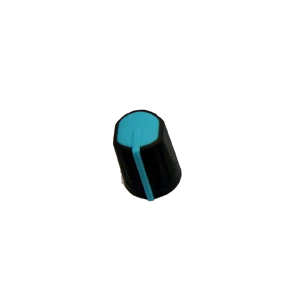 S309A